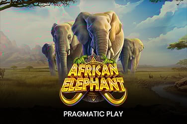 African Elephant™