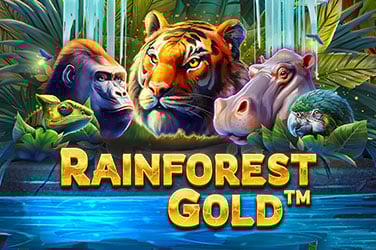 Rainforest Gold